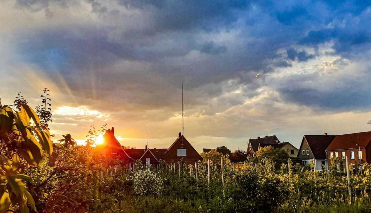Ferienwohnung Bluetenblick Bachenbrock المظهر الخارجي الصورة