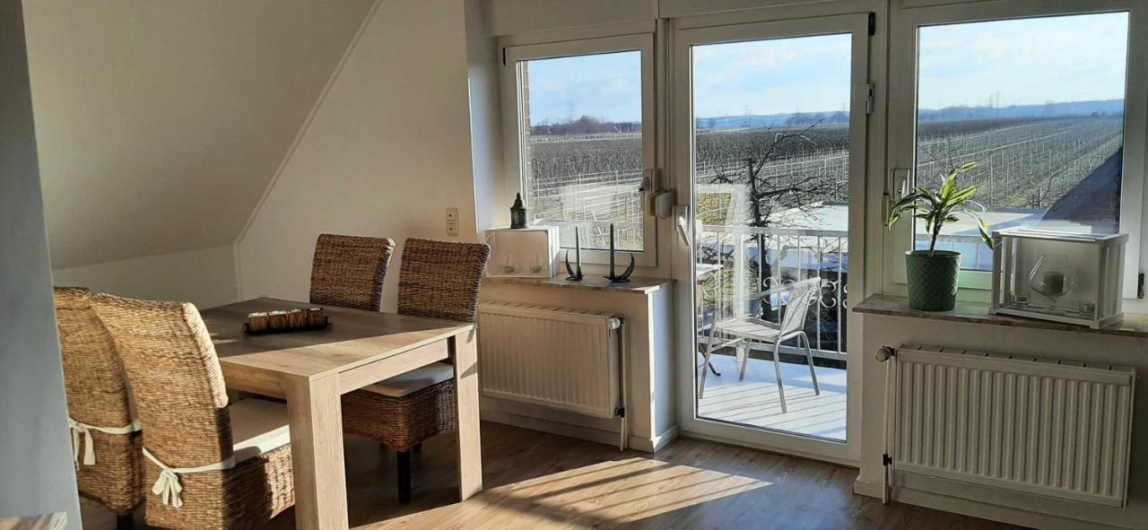 Ferienwohnung Bluetenblick Bachenbrock المظهر الخارجي الصورة